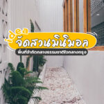 Idea จัดสวนมินิมอล พื้นที่จำกัดกลางธรรมชาติใจเมืองกรุง!!