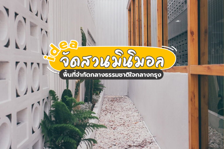 Idea จัดสวนมินิมอล พื้นที่จำกัดกลางธรรมชาติใจกลางเมืองกรุง!!