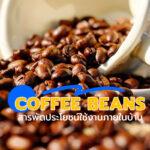 Coffee beans สารพัดประโยชน์ใช้งานภายในบ้าน