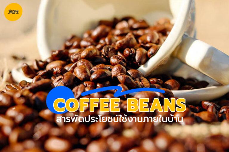 Coffee beans สารพัดประโยชน์ใช้งานภายในบ้าน