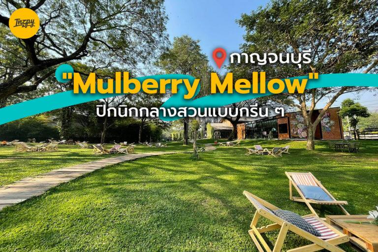 ปิกนิกกลางสวนแบบกรีน ๆ “Mulberry Mellow” กาญจนบุรี