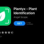 APP FOR PLANT แอปพิแคชั่นปลูกต้นไม้ในบ้าน