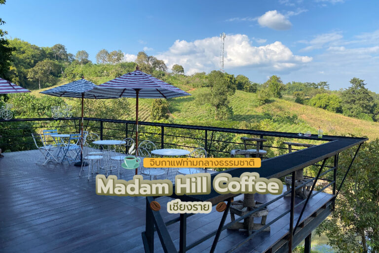 จิบกาแฟท่ามกลางธรรมชาติ “Madam Hill Coffee” เชียงราย