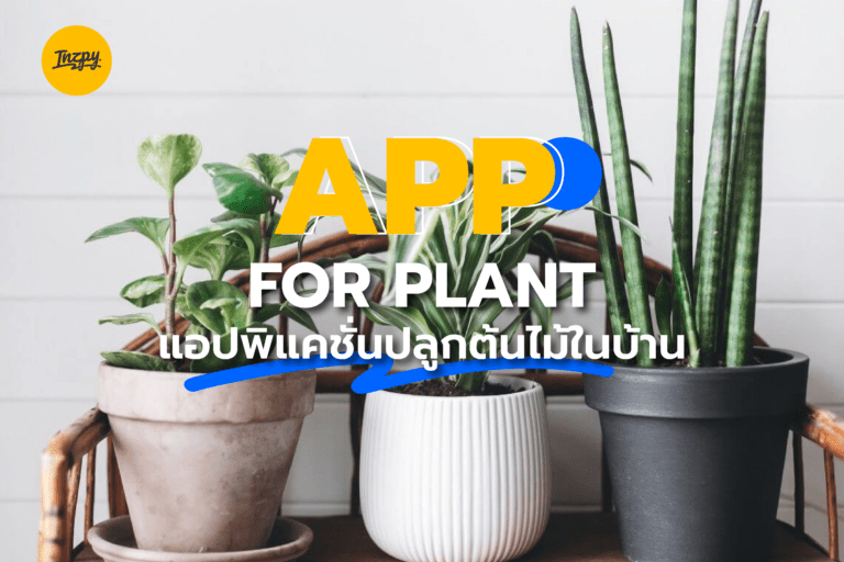 APP FOR PLANT แอปพิเคชั่นปลูกต้นไม้ในบ้าน