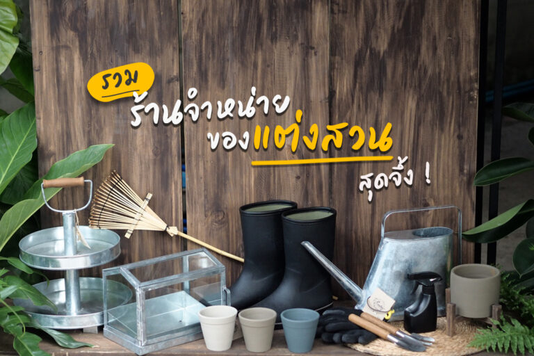 รวมร้านสุดจึ้ง จำหน่ายของแต่งสวนสุดแจ๋ว