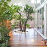 Icesu House