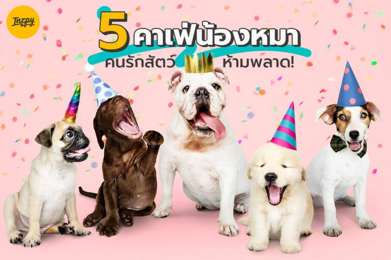 รวม 5 คาเฟ่น้องหมา คนรักสัตว์ต้องห้ามพลาด!