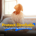 Protect ป้องกันฝุ่นในบ้านด้วยการปลูกต้นไม้ฟอกอากาศ