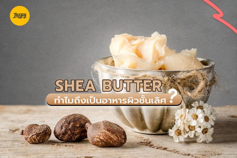 Shea Butter ทำไมถึงเป็นอาหารผิวชั้นเลิศ ?