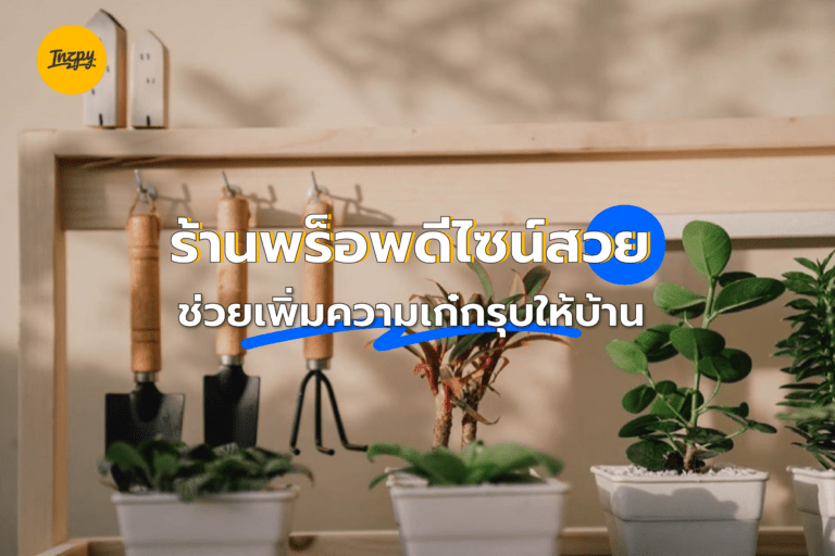 ร้านพร็อพดีไซน์สวย ช่วยเพิ่มความเก๋กรุบให้บ้าน