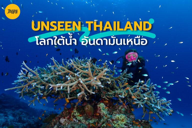 Unseen Thailand โลกใต้น้ำ อันดามันเหนือ ที่สุดของประเทศไทย