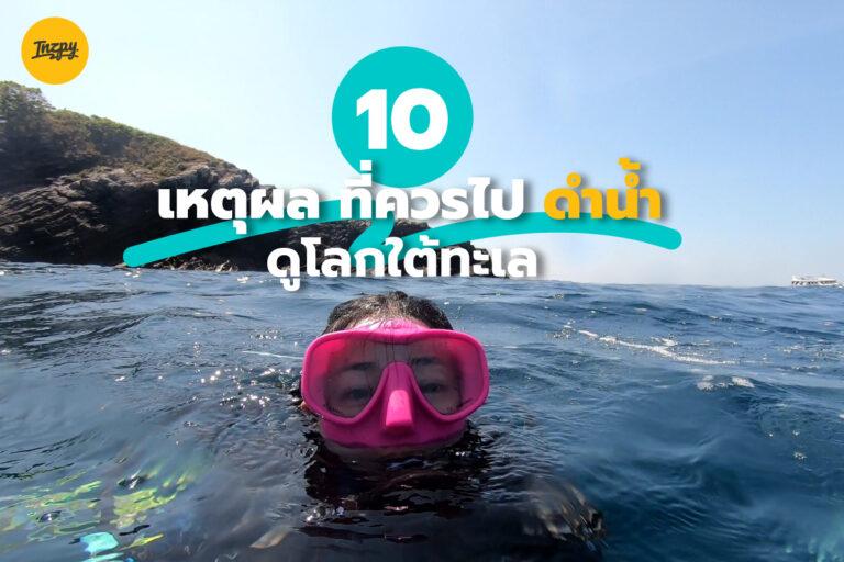 10 เหตุผล ที่ควรไป ดำน้ำ ดูโลกใต้ทะเล