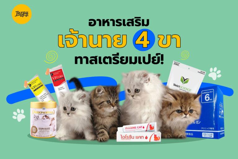 อาหารเสริมเจ้านาย 4 ขา ทาสเตรียมเปย์!