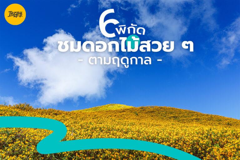 แนะนำ 6 พิกัด ชมดอกไม้สวย ๆ สีสันสดใส ตามฤดูกาล