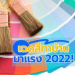 เฉดสีทาบ้านมาแรง2022 !