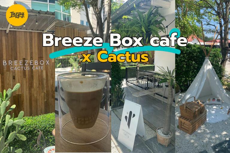 Breeze Box cafe x Cactus คาเฟ่เล็ก ๆ ที่อาหารดีงามมาก ๆ