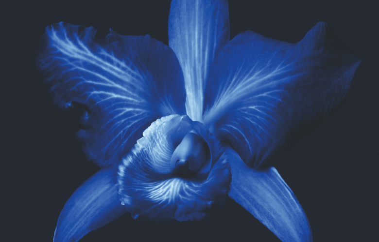 Guerlain Orchidée Impériale สูตรใหม่