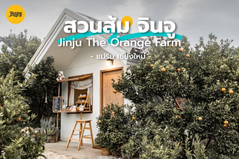 JINJU The Orange Farm สวนส้มจินจู อากาศดี วิวสวย ถ่ายรูปปัง
