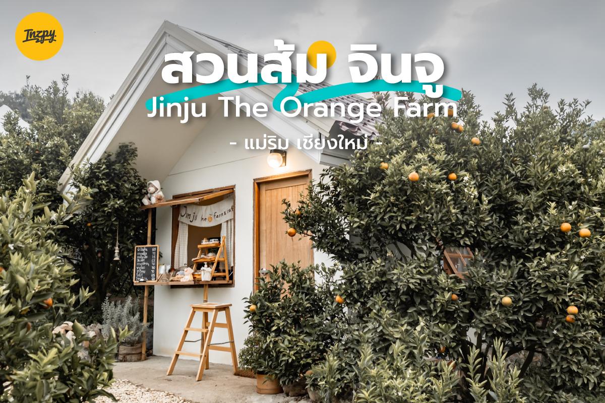 JINJU The Orange Farm สวนส้มจินจู อากาศดี วิวสวย ถ่ายรูปปัง