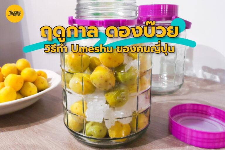 ฤดูกาล ดองบ๊วย มาถึงแล้ว แชร์วิธีทำ Umeshu ของคนญี่ปุ่น