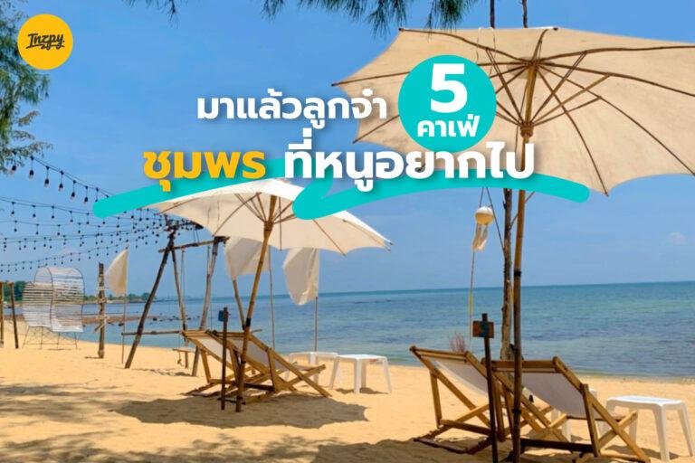 มาแล้วลูกจ๋า 5 คาเฟ่ ชุมพร ที่หนูอยากไป