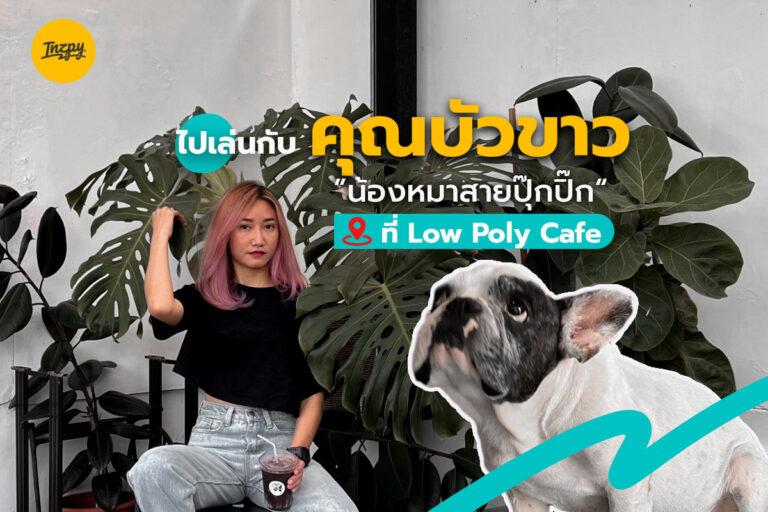 ไปเล่นกับ คุณบัวขาว “น้องหมาสายปุ๊กปิ๊ก” ที่ Low Poly Cafe