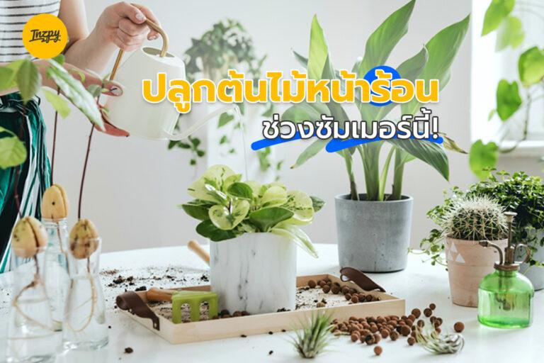 ปลูกต้นไม้หน้าร้อน ช่วงซัมเมอร์นี้!