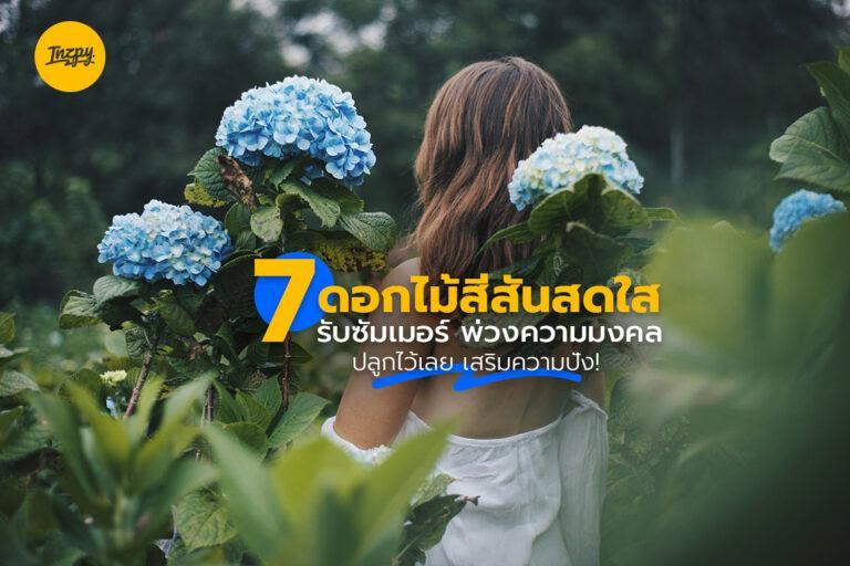 7 ดอกไม้มงคล สีสันสดใส รับซัมเมอร์ ปลูกไว้เลย เสริมความปัง!