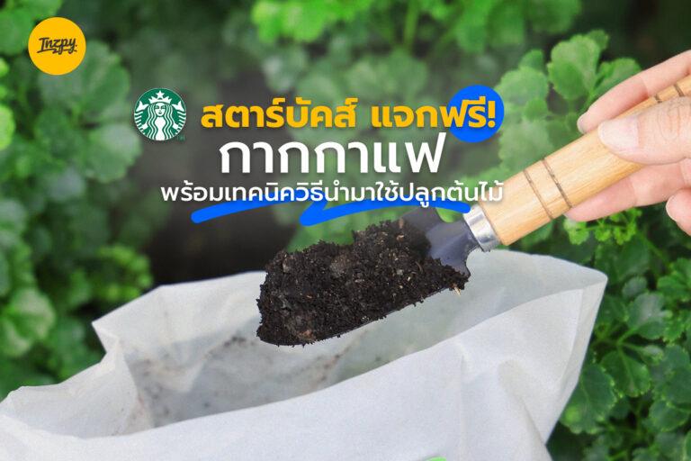 Starbucks แจกฟรี! กากกาแฟ พร้อมเทคนิควิธีนำมาใช้ปลูกต้นไม้