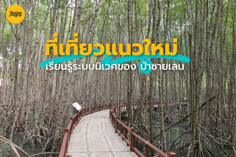  ศูนย์ฯสิรินาถราชินี ที่เที่ยวแนวใหม่ ชมความงดงาม และเรียนรู้ระบบนิเวศของ ป่าชายเลน