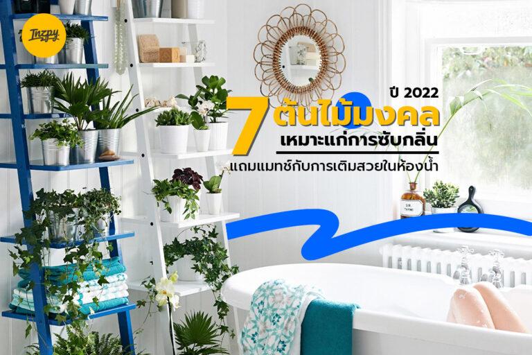 7 ต้นไม้มงคล ปี 2022 เหมาะแก่การดูดกลิ่น แถมแมทช์เว่อร์… แด่การเติมสวยในห้องน้ำ