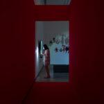 Shadow Dancing Exhibition