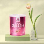 6 Collagen