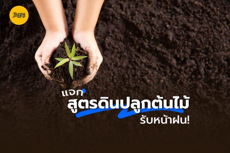 แจก สูตรดินปลูกต้นไม้ รับหน้าฝน!