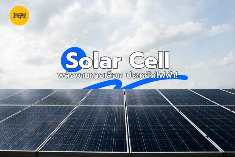 Solar Cell พลังงานทางเลือก ประหยัดไฟฟ้า!