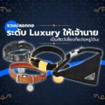 Pet Collar Luxury