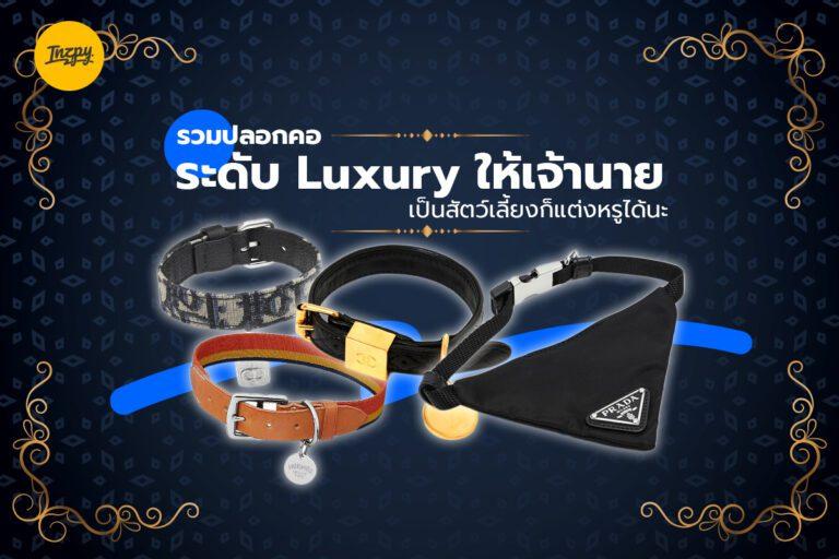 รวม ปลอกคอ ระดับ Luxury ให้เจ้านาย เป็นสัตว์เลี้ยงก็แต่งหรูได้นะ