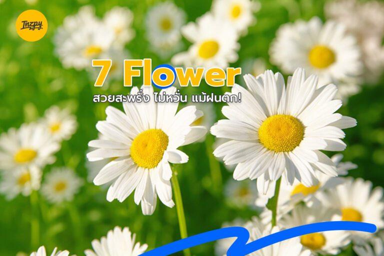 7 Flower สวยสะพรั่ง ไม่หวั่น แม้ฝนตก!
