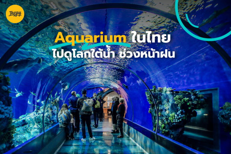 4 อควาเรียม ในไทย ไปดูโลกใต้น้ำ ช่วงหน้าฝน