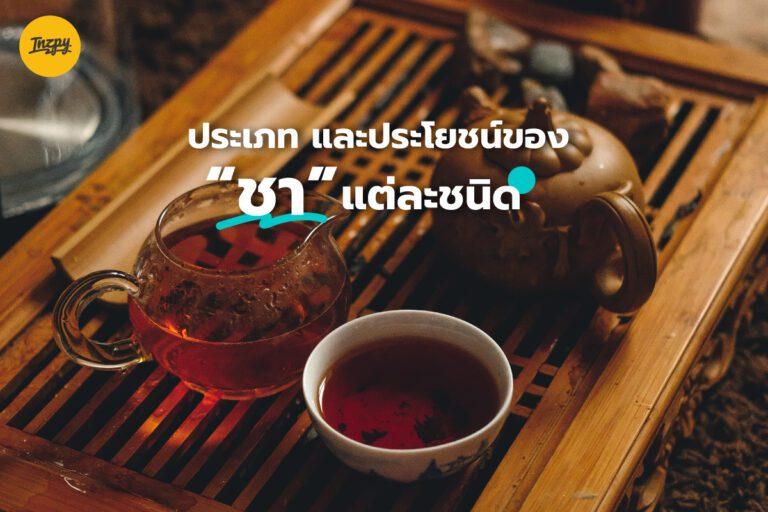 ประเภท และประโยชน์ของ ชา แต่ละชนิด