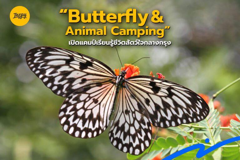 Butterfly & Animal Camping” เปิดแคมป์เรียนรู้ชีวิตสัตว์ใจกลางกรุง