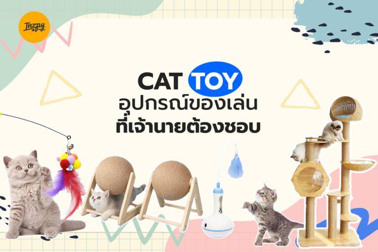 CAT TOY อุปกรณ์ของเล่นที่เจ้านายต้องชอบ