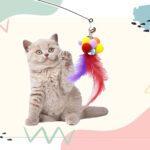 CAT TOY อุปกรณ์ของเล่นที่เจ้านายต้องชอบ