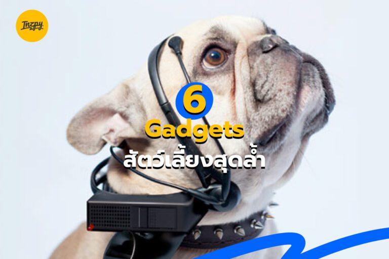 6 Gadgets สัตว์เลี้ยงสุดล้ำ