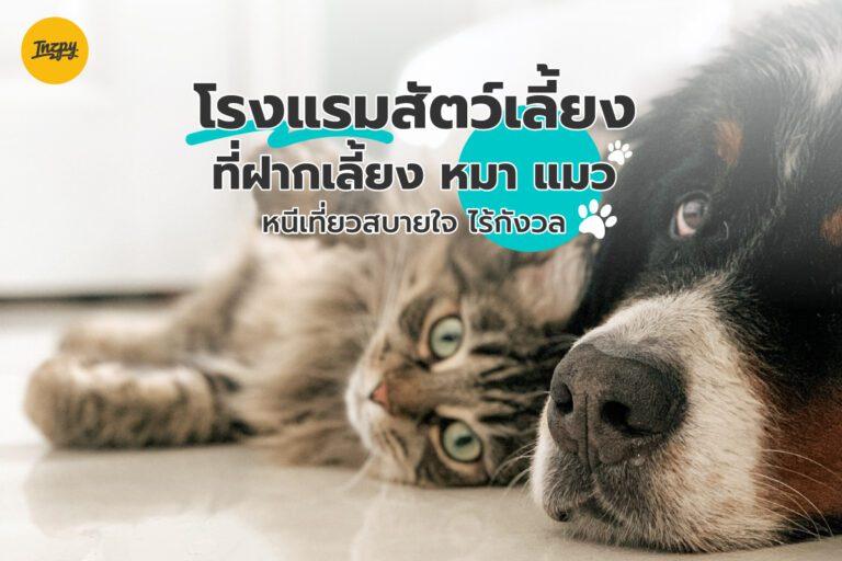 ที่ฝากเลี้ยง หมา แมว โรงแรมสัตว์เลี้ยง เที่ยวไกลแค่ไหน ก็ไร้กังวล