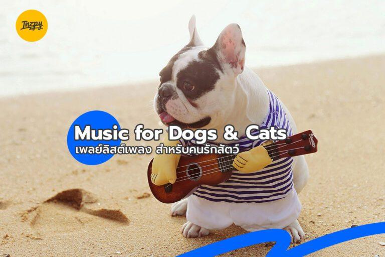 Music for Dogs & Cats เพลย์ลิสต์เพลง สำหรับคนรักสัตว์