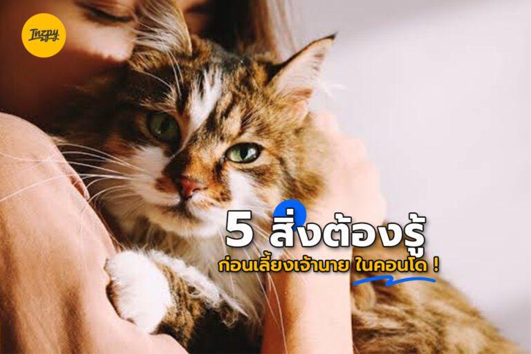 5 สิ่งต้องรู้ก่อนเลี้ยงเจ้านาย ในคอนโด !