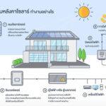 Solar Cell พลังงานทางเลือก ประหยัดไฟฟ้า!