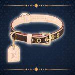 Pet Collar Luxury