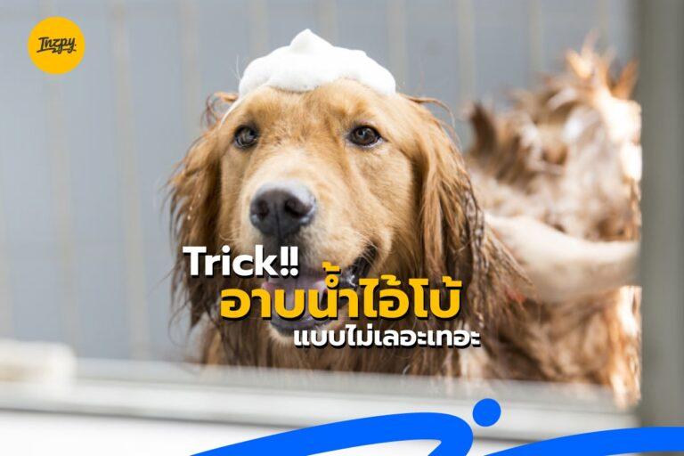 Trick อาบน้ำไอ้โบ้แบบไม่เลอะเทอะ
